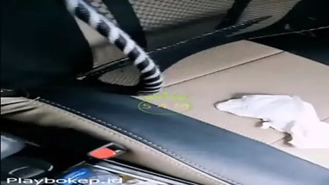 Pulang Sekolah &mdash;  Dia Ditemani Pacar untuk Berquan Di dalam Mobil